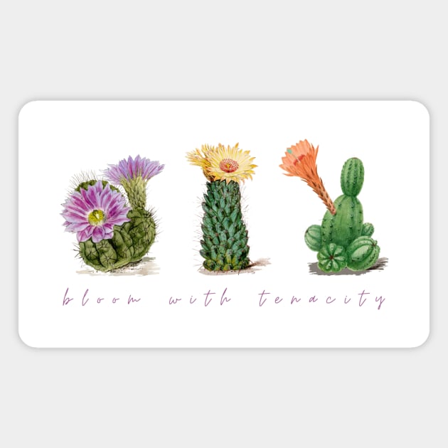 Cactus - Bloom with tenacity Magnet by Chasing Rabbit